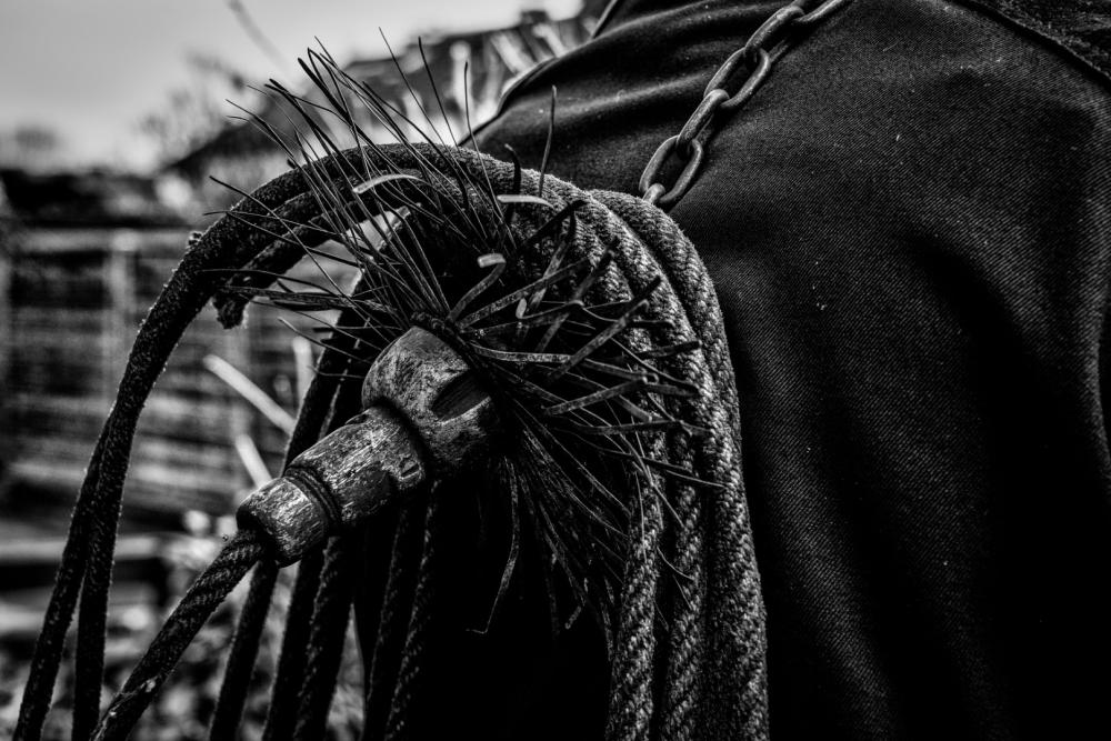 Ramonage rotatif à Le Bourget-du-Lac